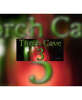 Torch Cave 3 Steam Key GLOBAL
